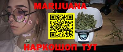 индика Лесосибирск