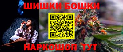 индика Лесосибирск