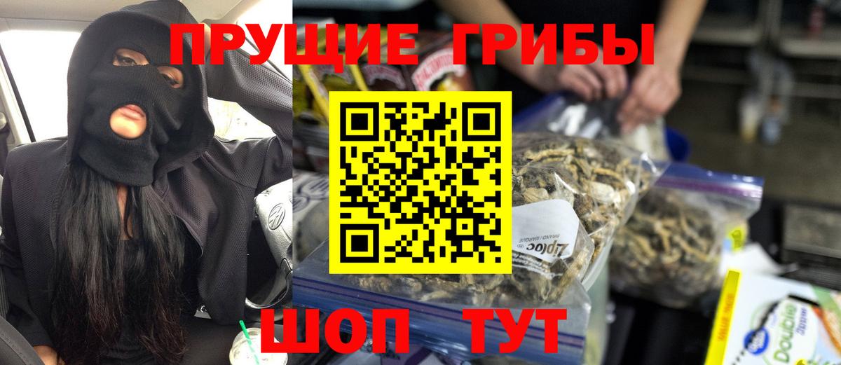 Димитровград  Галлюциногенные грибы мицелий  Вход с VPN 